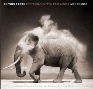 On This Earth, photograph from east Africa. Nick Brandt,